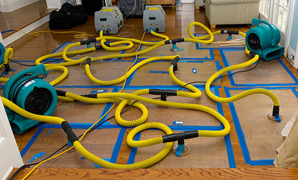 Professional Basement Flood Cleanup technician working in Runnemede, NJ